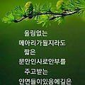 댓글 첨부 이미지