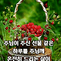 댓글 첨부 이미지