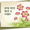 댓글 첨부 이미지