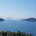 '출석합니다 ' 글에 포함된 이미지