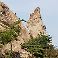 '출석합니다 ' 글에 포함된 이미지