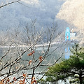 '출석합니다 ' 글에 포함된 이미지