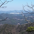 '출석합니다 ' 글에 포함된 이미지
