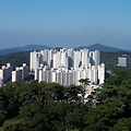 '출석합니다 ' 글에 포함된 이미지