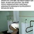 '모처럼 늦잠 푹 잔 토' 글에 포함된 이미지