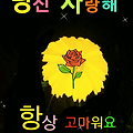 댓글 첨부 이미지