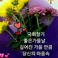 '바람부는아침 이내요.' 글에 포함된 이미지