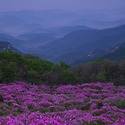 황매산의 하루 # 1