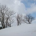 선자령 겨울 풍경 사진