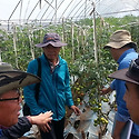 2015.06.23 Kikipiri 딸기농장 방문