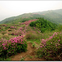 지리산 바래봉