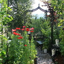 July 2012, My garden from A..
