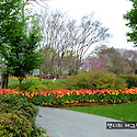 Dallas Arboretum Blooms Fes..