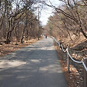 3월7일 토요일 수리산 산행 사진입니다..