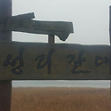 충남 서천 신성리 갈대밭