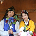 2012년 고양 가을 꽃 축제
