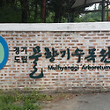 물향기 여름향기 1