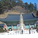 월정사 & 법흥사