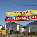 강동구 강일동 강동화훼단지