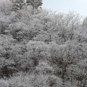 오선암에 눈이 펑펑~~