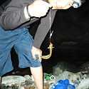 산메기사냥(2004년 7월)