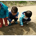 산책길에 만난 개미관찰..그리고 공놀이..