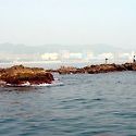 울산 북구 월성 읍천 보리돌