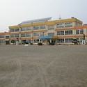 광어가 춤추더라