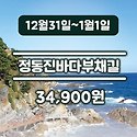 정동진바다부채길-무박일출