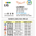 0052_LIG손해보험(주)_명함샘플01 /..
