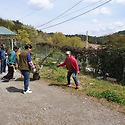 열두제자 울(담) 덩쿨장미 심기 