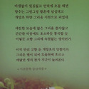 길나현 ＜개망초＞