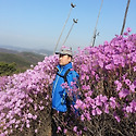 김포 가현산 진달래^^