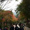 10월 어느날~문경세재2