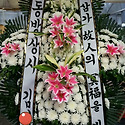 근조5단화환 김해꽃배달 김해꽃집 개업..