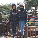 4월 벚꽃 투어~~4