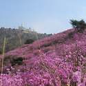 강화도 고려산