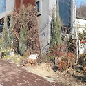 이쁜 카페조경