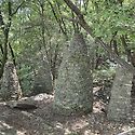 9월 5일 대모산 산행
