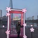 26년4월11일 부천 원미산 진달래 산행