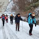 장안산 하나