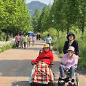 거창 창포원 봄 나들이