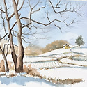 한 선희님