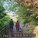 장마와 장마 사이 성복천 오리가족 출..