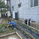 5/11~12 평안농원