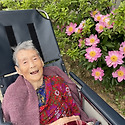 5월 넷째주 산책,
