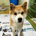 [대모/대부가 필요해요] 달친&#128054;