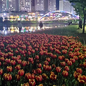 2026.04.25하남 미사호수공원