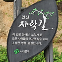 4월 정기산행 - 안산 자락길