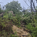 5월3일 안산,인왕산,북악산